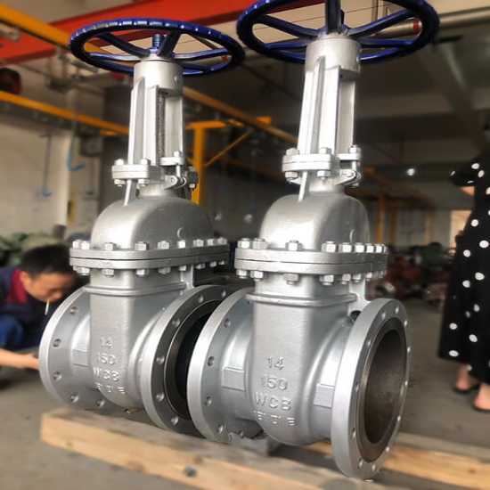 S S CAST GATE VALVES