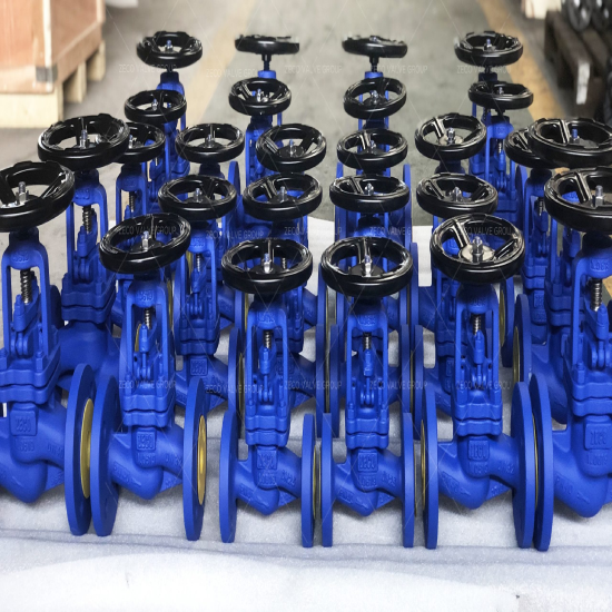 globe valve manufacturers in ahmedabad