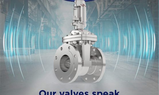 leading Industrial valves manufacturing company Ahmedabad, India