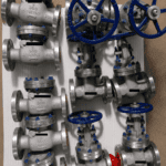 S S Cast Valves Globe Valve | 2" | Class 300 | CF8M (SS316) | BS 1873 | Flanged End