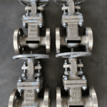 S S Cast Valves Globe Nickel Alluminium Broze S S Cast Valves Globe Nickel Alluminium Bronze